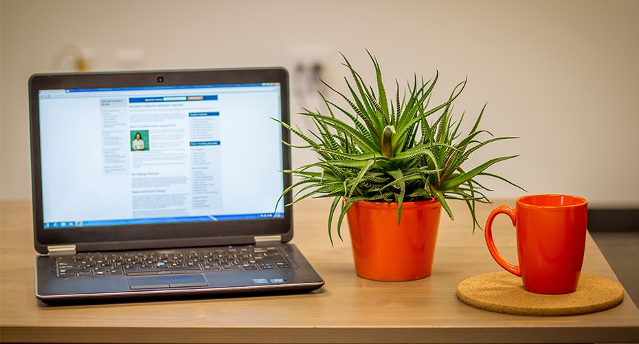 computer on desk with plants set to online degree program