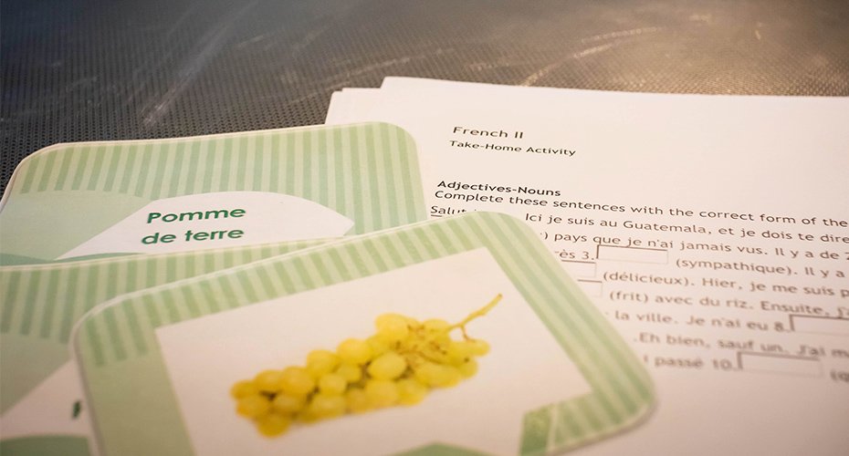 language teaching cards